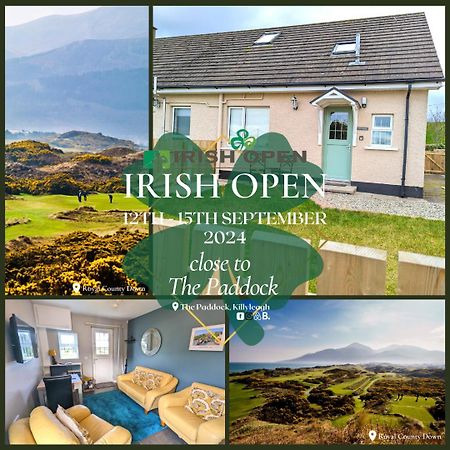 Ferienwohnung The Paddock Killyleagh Exterior foto