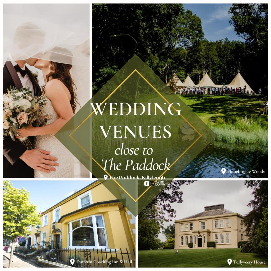 Ferienwohnung The Paddock Killyleagh Exterior foto