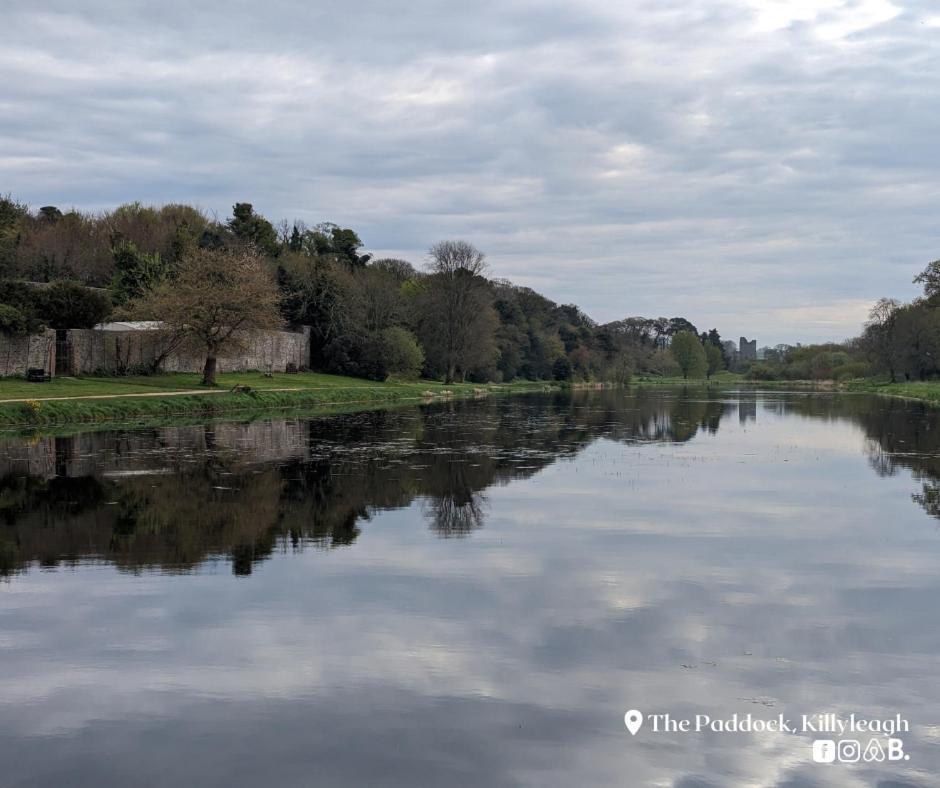 Ferienwohnung The Paddock Killyleagh Exterior foto