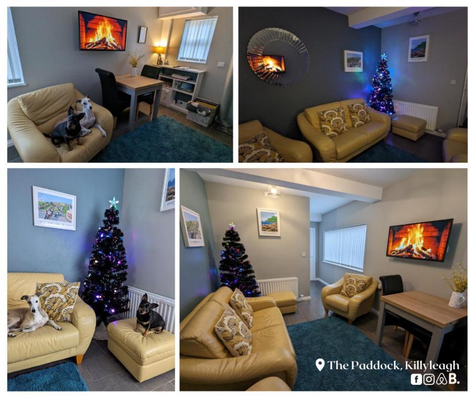 Ferienwohnung The Paddock Killyleagh Exterior foto