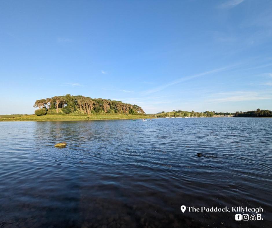 Ferienwohnung The Paddock Killyleagh Exterior foto