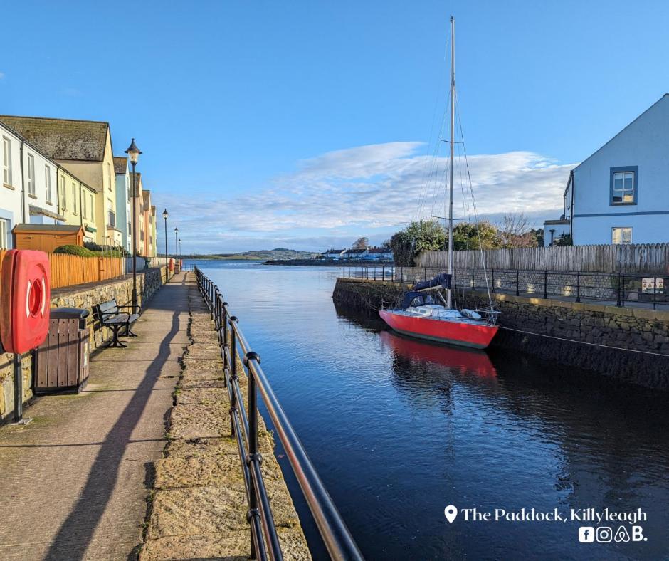 Ferienwohnung The Paddock Killyleagh Exterior foto