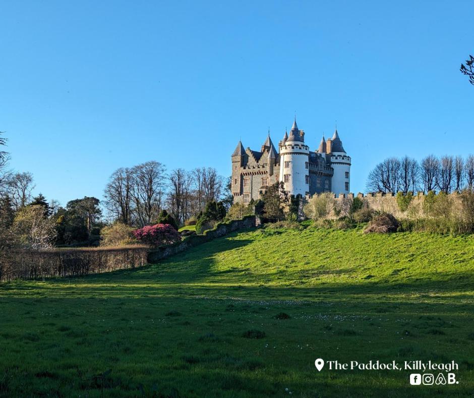 Ferienwohnung The Paddock Killyleagh Exterior foto