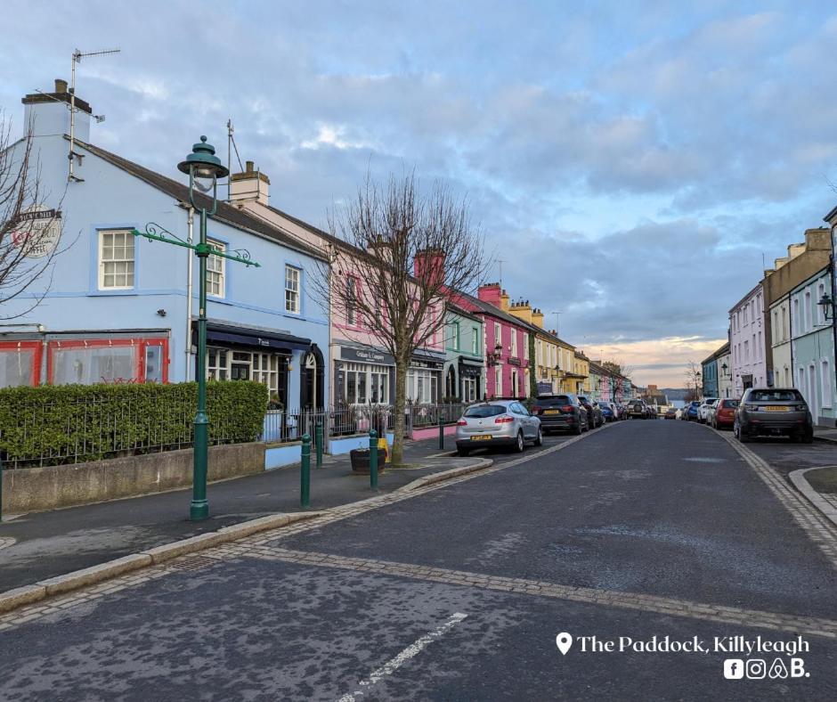 Ferienwohnung The Paddock Killyleagh Exterior foto